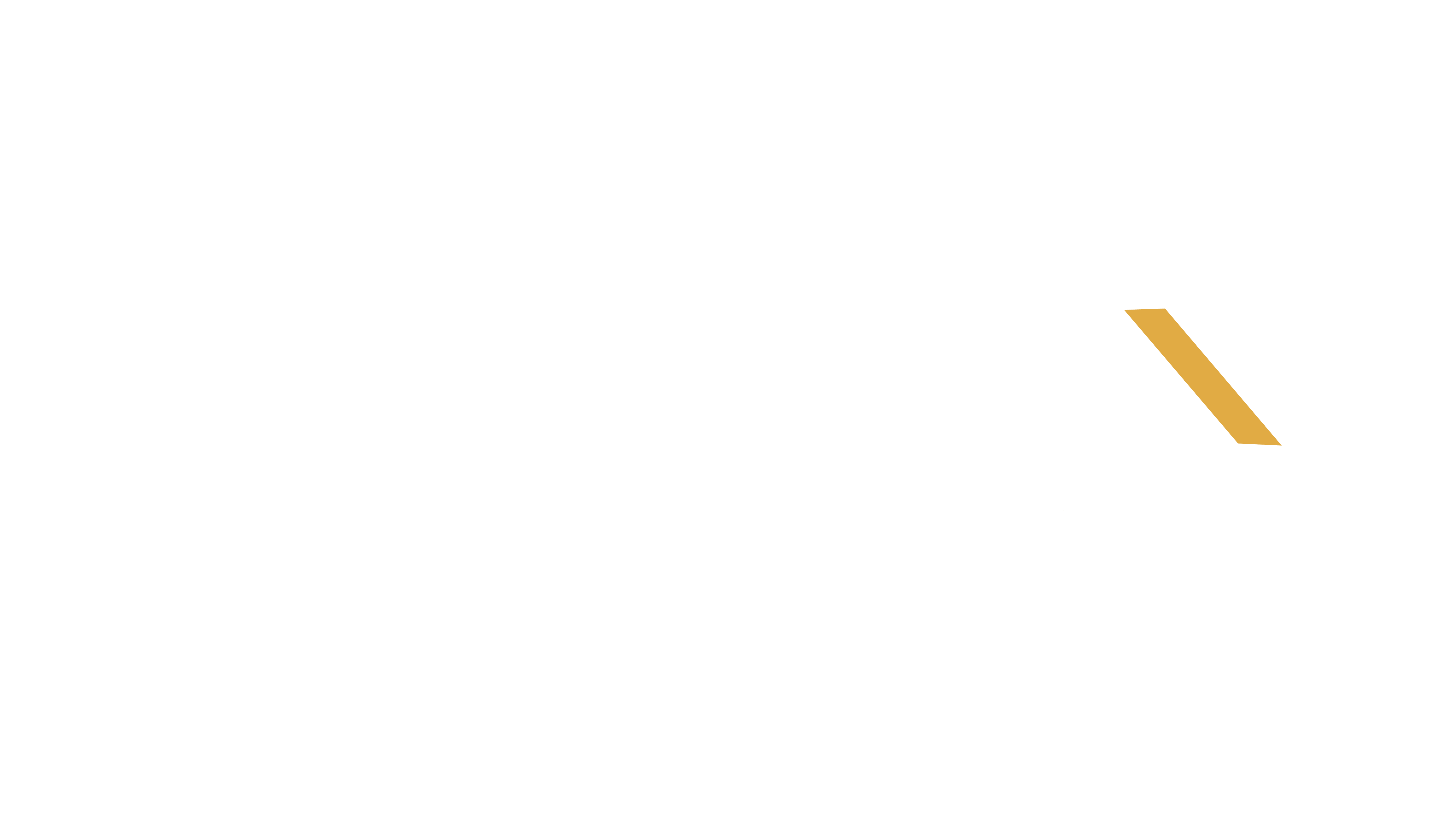 MetaNex Services